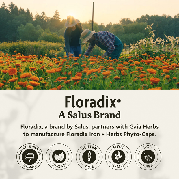 Floradix® Iron + Herbs Phyto-Caps